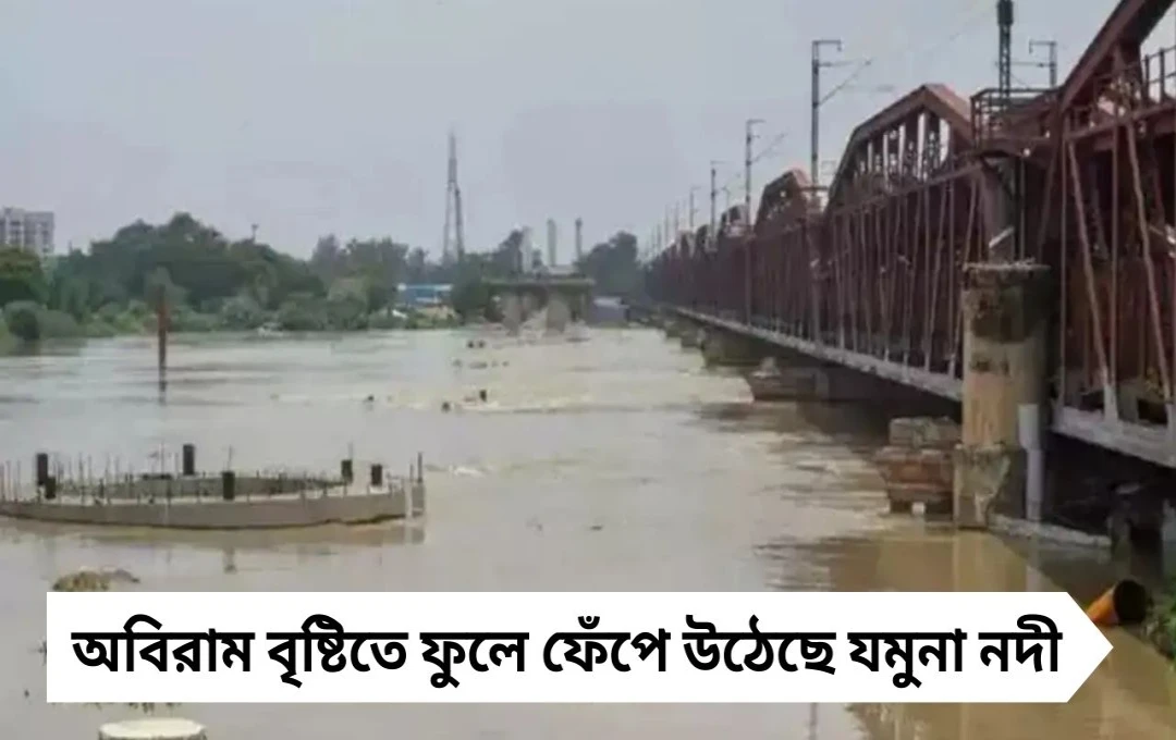 ফুঁসছে যমুনা, তাজমহলের সীমানা প্রাচীর ছুঁল জলস্তর