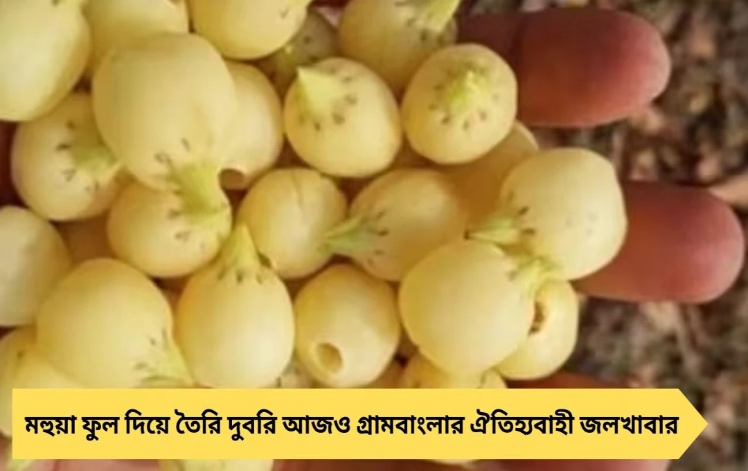 মহুয়া দুবরি: গ্রামীণ ঐতিহ্যের ব্রেকফাস্ট, শক্তি আর পুষ্টির ভাণ্ডার