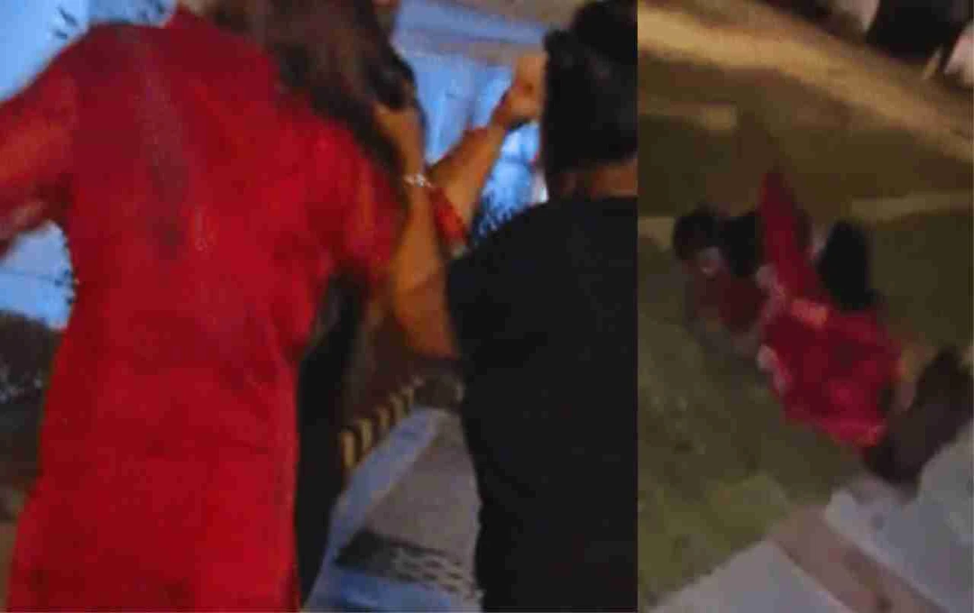 फरीदाबाद प्रिंसेस पार्क में महिला गार्ड और डॉग लवर्स के बीच मारपीट, सोशल मीडिया पर वायरल वीडियो