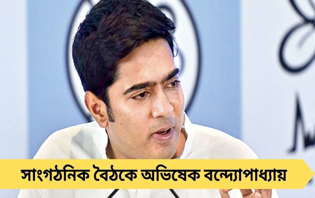 সাংগঠনিক বৈঠকে অভিষেক বন্দ্যোপাধ্যায়: বনগাঁ, দমদম ও ব্যারাকপুরের তৃণমূল নেতাদের সঙ্গে আলোচনা