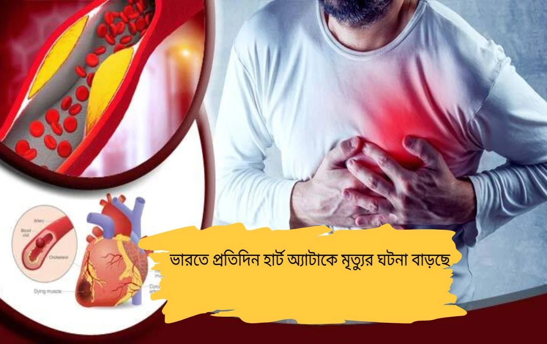 হার্ট অ্যাটাকের ঝুঁকি বেশি ভোরবেলা ও সোমবার: বিশেষজ্ঞরা বলছেন কেন