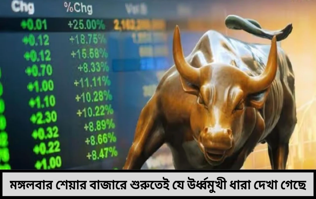 সেনসেক্স-নিফটি আজ উর্ধ্বগামী: সেনসেক্স ২৭৮ পয়েন্ট বাড়ল, নিফটি ৫০ ছাড়াল ২৪,৮০০