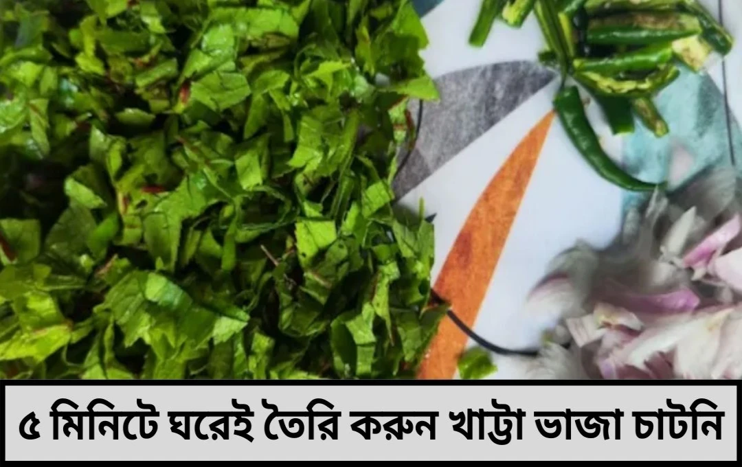 খাট্টা ভাজা চাটনি রেসিপি: ৫ মিনিটে ঝাল-টক স্বাদের চাটনি তৈরি করুন