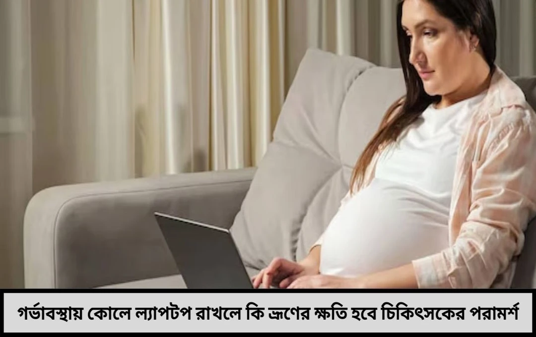 গর্ভাবস্থায় কোলে ল্যাপটপ রাখলে কি ভ্রূণের ক্ষতি হতে পারে? চিকিৎসক কী বলছেন