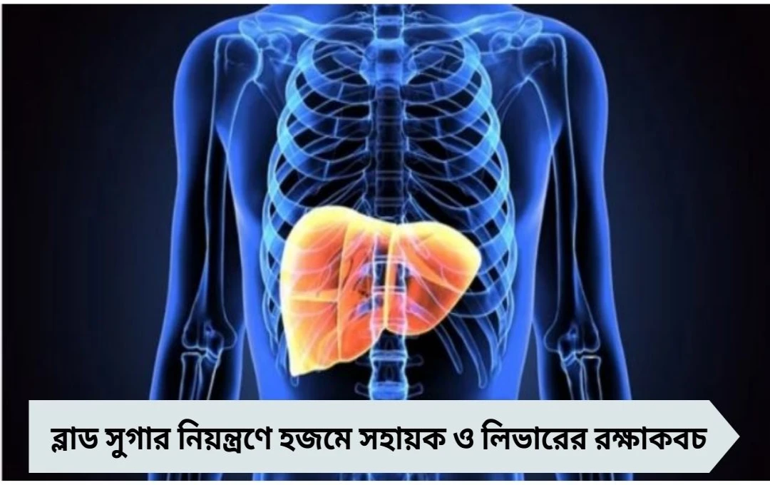 শাপলার গুণ: ব্লাড সুগার নিয়ন্ত্রণে, হজমে সহায়ক ও লিভারের রক্ষাকবচ