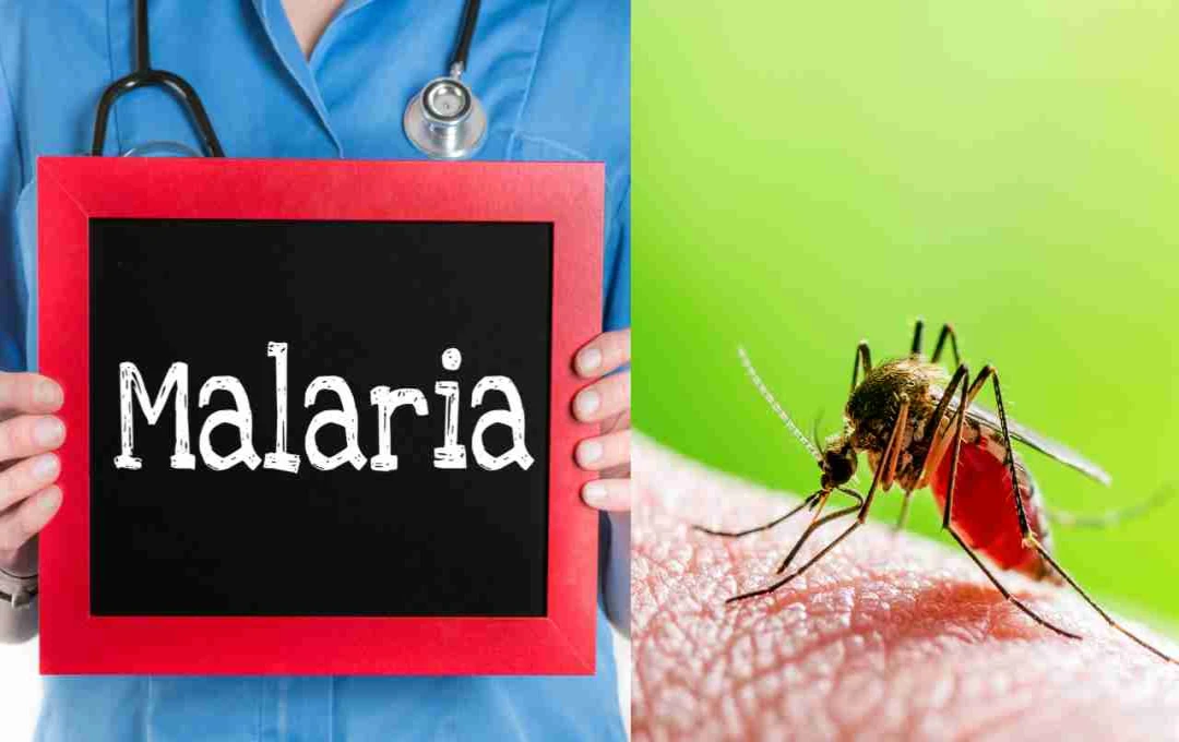 Monsoon Season Surges Malaria Risk: Symptoms, Spread, and Prevention