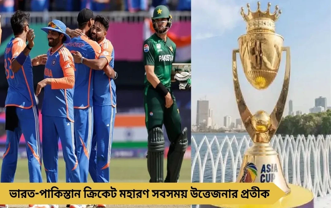 IND vs PAK: ভারতের বিরুদ্ধে লজ্জার হারের তিনটি গুরুত্বপূর্ণ ম্যাচ জানুন