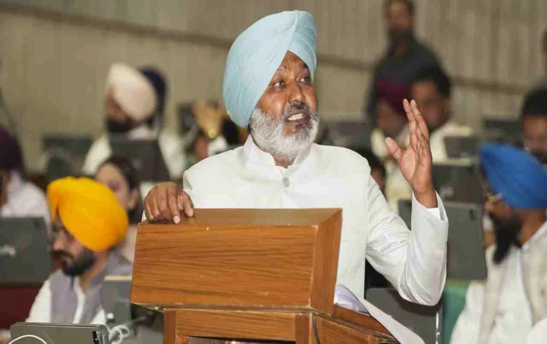 Punjab Finance Minister Denies ₹12,000 Crore SDRF Funds, Calls PM's Relief Package 'Unjust'