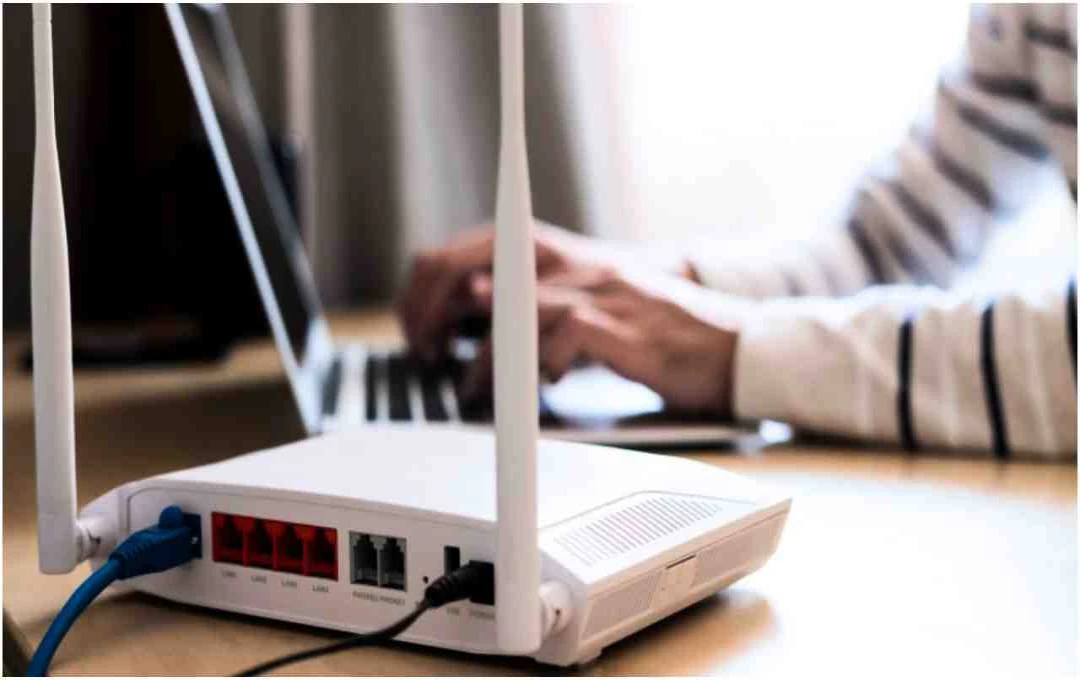 घर में Wi-Fi के पास किन चीजों को रखना है नुकसानदेह, जानें विशेषज्ञ की सलाह