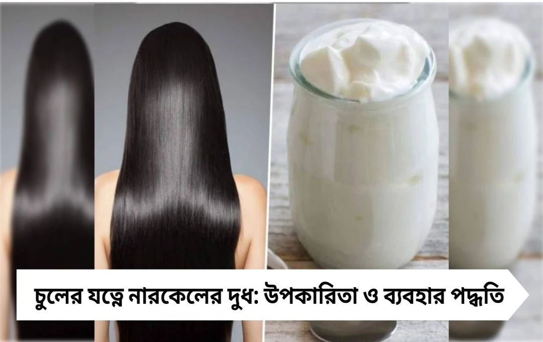চুলের যত্নে নারকেলের দুধ: কতটা কার্যকরী, কীভাবে ব্যবহার করবেন?