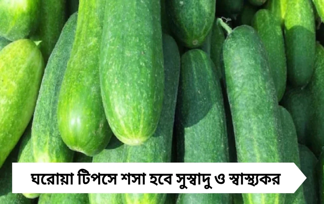 তেতো শসার ঝামেলা শেষ! ঘরোয়া কৌশলে সুস্বাদু হবে প্রতিটি কামড়