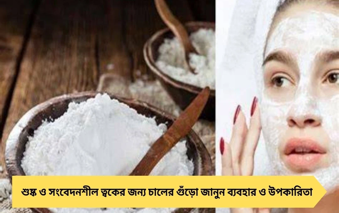 চালের গুঁড়োতে ত্বকের জেল্লা ফেরে! শুষ্ক ও সংবেদনশীল ত্বকের জন্য ঘরোয়া সমাধান