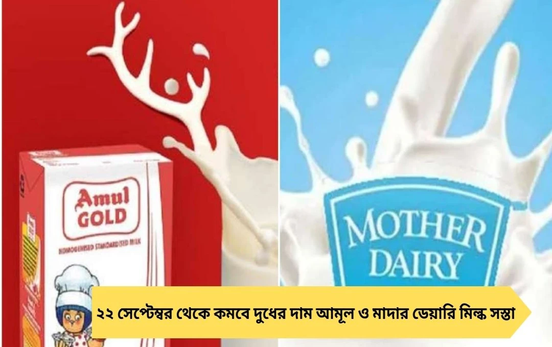 ২২ সেপ্টেম্বর থেকে কমবে দুধের দাম: আমূল ও মাদার ডেয়ারির প্যাকেট মিল্কে স্বস্তির বার্তা