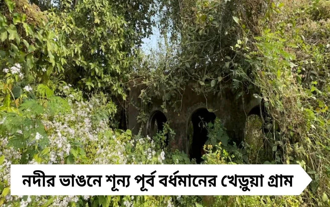 Deserted Village: নদীর ভাঙনে শূন্য পূর্ব বর্ধমানের খেড়ুয়া গ্রাম, মন্দির-বাড়িঘর আজ নিস্তব্ধ ধ্বংসাবশেষ