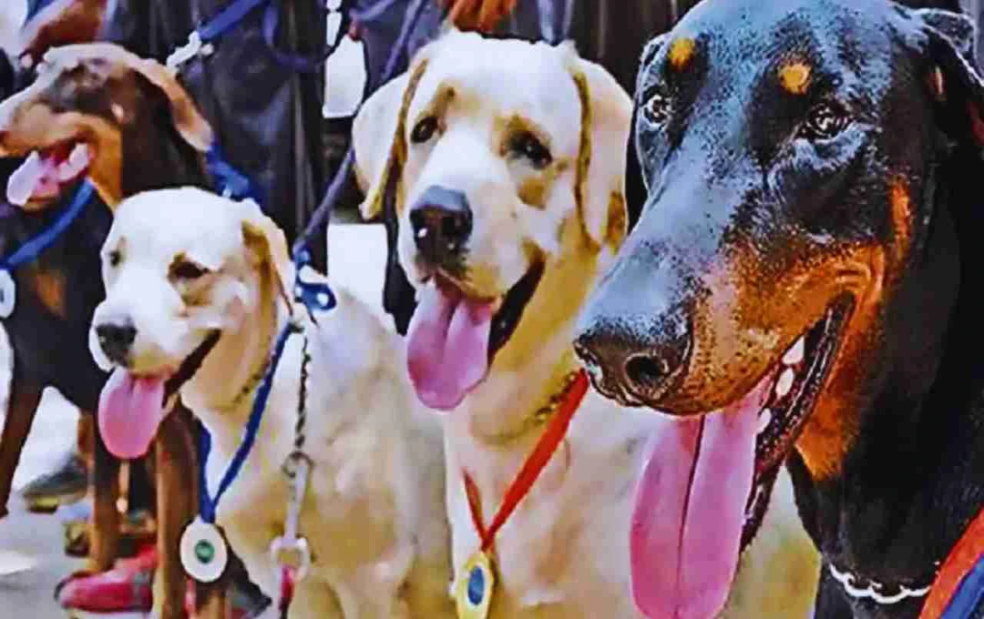 Bihar Police K9 Unit Set to Expand with 30 New Dogs, Enhancing Security and Crime Detection