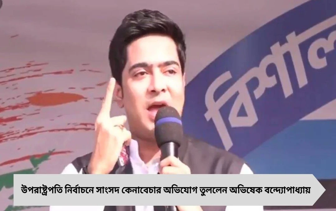 উপরাষ্ট্রপতি নির্বাচনে ‘ঘোড়া কেনাবেচা’, AAP সাংসদদের নিয়ে সরব অভিষেক