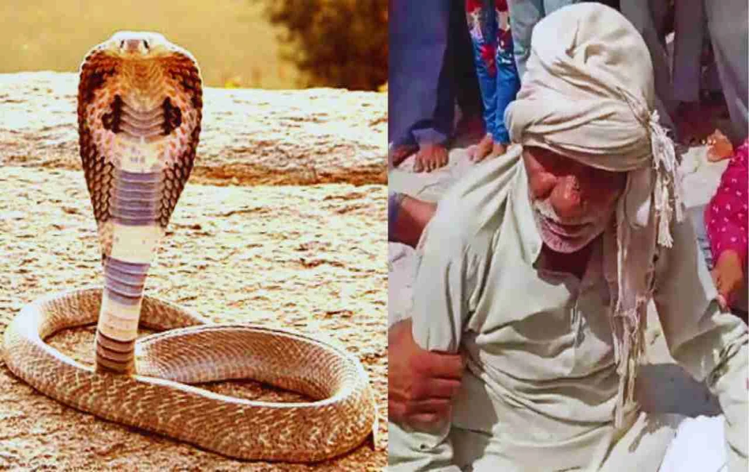 Man Bitten by Snake Every Three Years for 40 Years, Credits Faith Healing