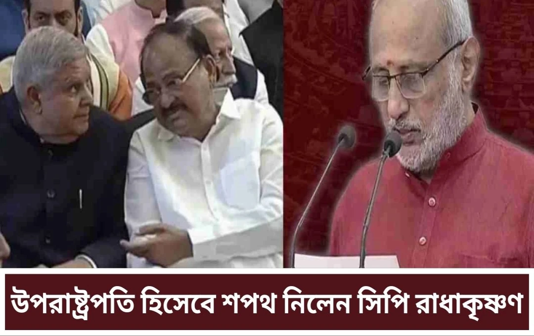 সি পি রাধাকৃষ্ণন হলেন ভারতের ১৫তম উপ-রাষ্ট্রপতি, এনডিএ প্রার্থীর সহজ জয়