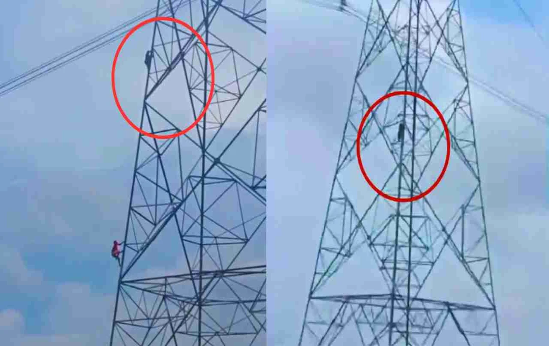 दरभंगा में नाबालिग प्रेमिका हाईटेंशन टावर पर चढ़ी, जाने क्या हैं मामला 