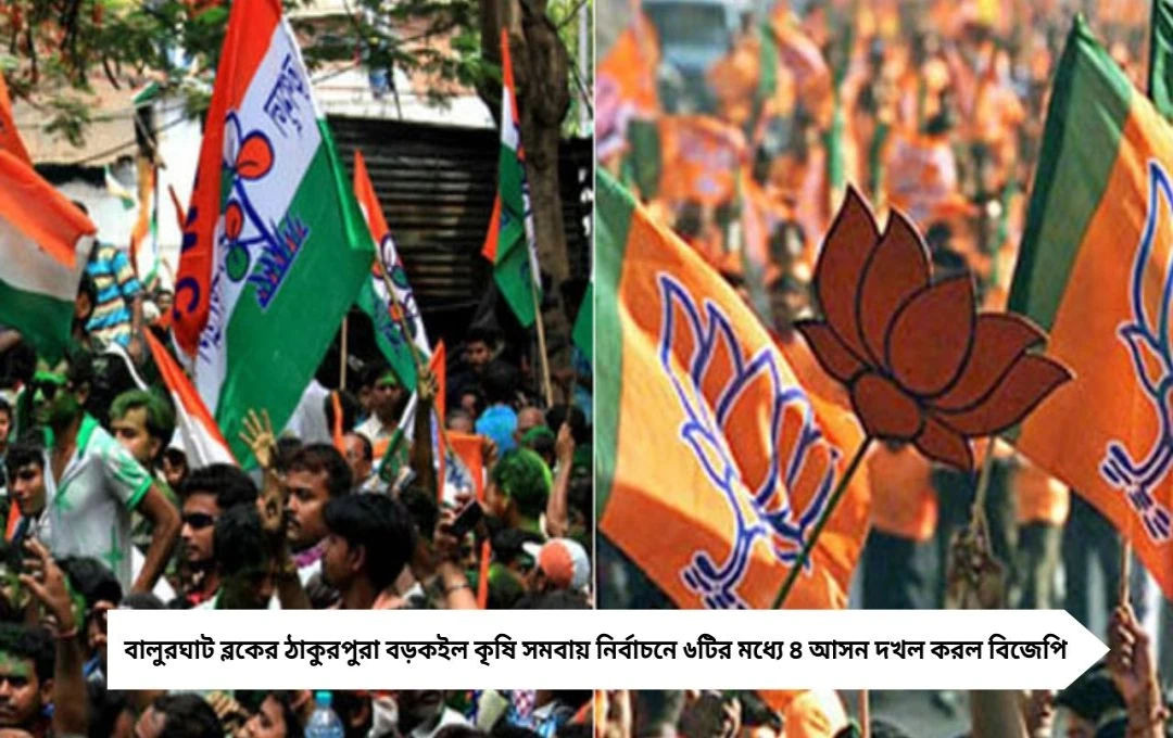 তৃণমূল গড়ে বিজেপির জয়, সমবায় সমিতির ৬ আসনের মধ্যে ৪ দখল