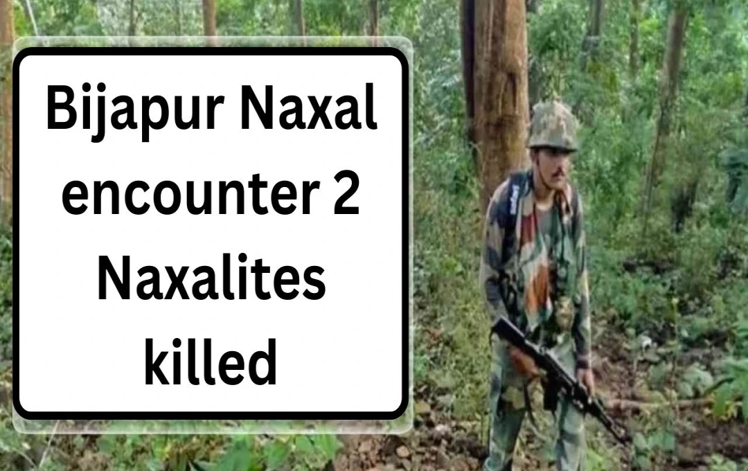 Chhattisgarh Security Forces Neutralize Two Naxals in Bijapur Encounter; Ten Eliminated in Previous Day