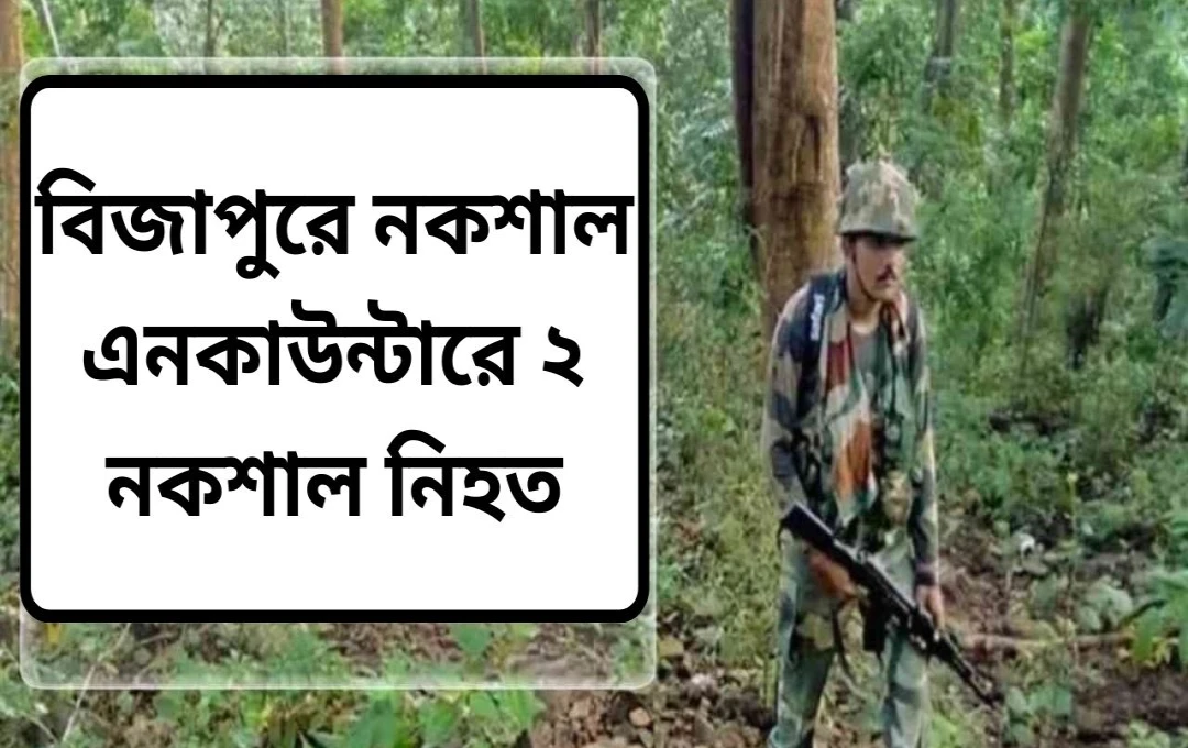 ছত্তিশগড়ে নিরাপত্তা বাহিনীর বড় সাফল্য: বিজাপুরে ২ মাওবাদীর মৃত্যু