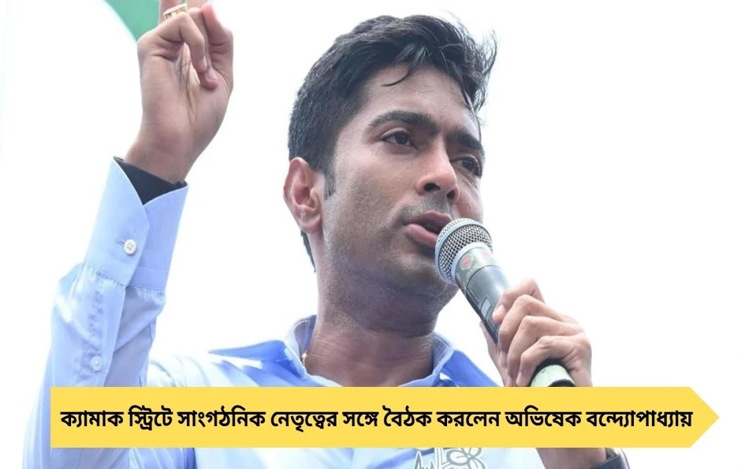 অভিষেকের বার্তা: দুর্ভেদ্য দুর্গেও চাই সতর্কতা, নয় আত্মতুষ্টি
