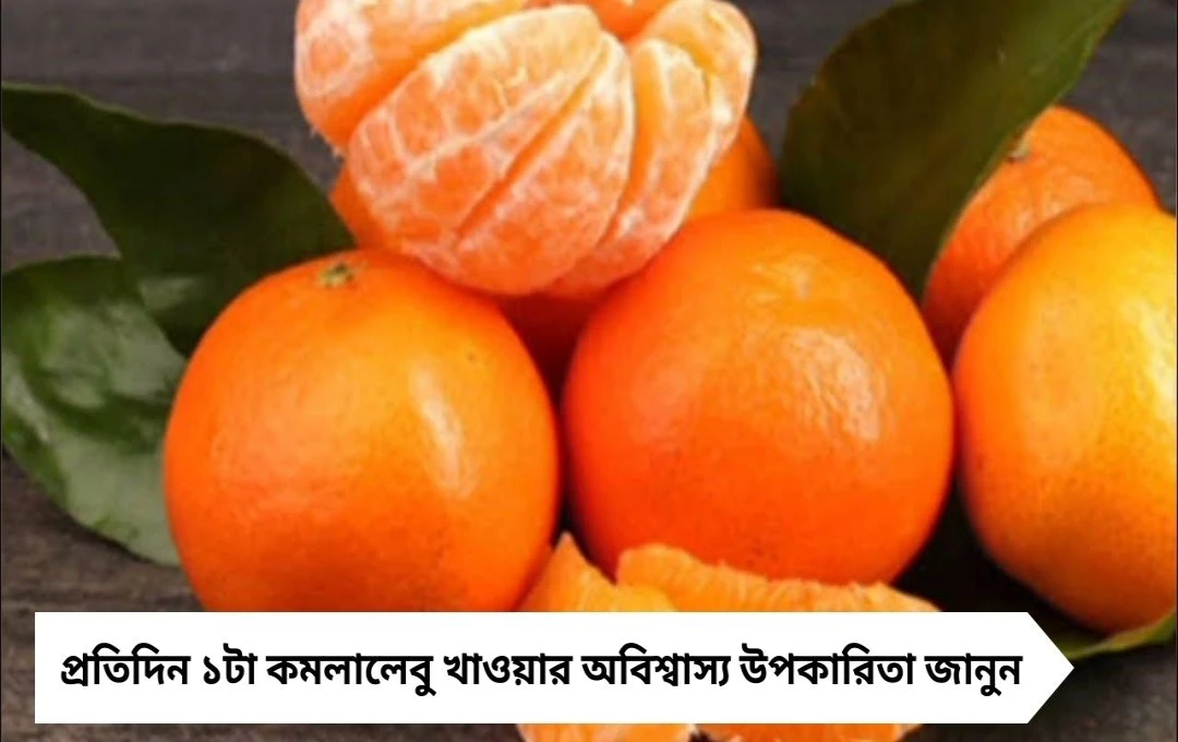 শুধু আপেল নয়, প্রতিদিন ১টা কমলালেবু খেলেই দূরে থাকবে রোগ