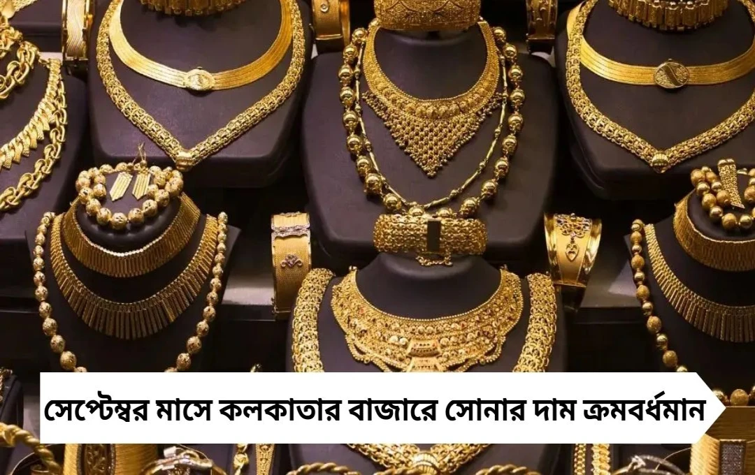 কলকাতায় সোনার দাম বেড়ে ২৪ ক্যারাট ১,৯,৬৫০ টাকা, রুপো সামান্য কমল