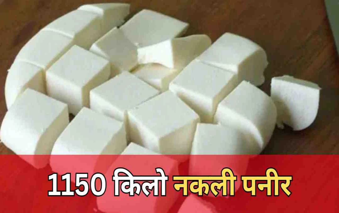 खाद्य सुरक्षा विभाग ने पकड़ा 1150 किलो नकली पनीर, दिल्ली-एनसीआर में सप्लाई की योजना फेल