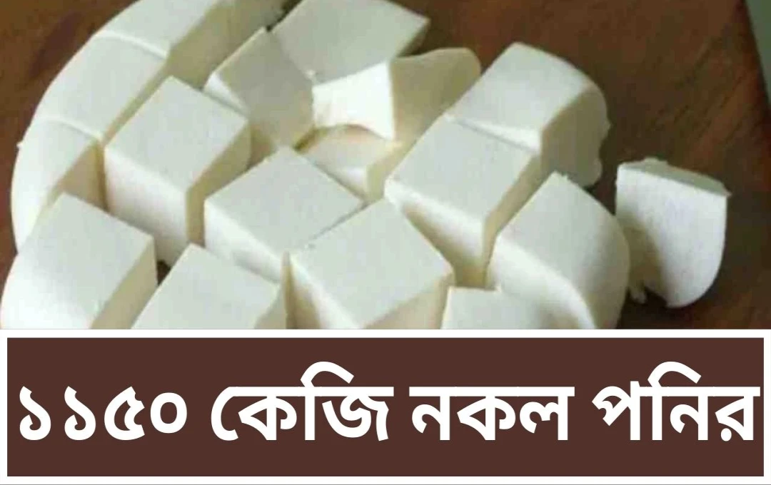 জেভার টোল প্লাজায় ১১৫০ কেজি নকল পনির উদ্ধার, জনস্বাস্থ্য সুরক্ষায় কঠোর পদক্ষেপ