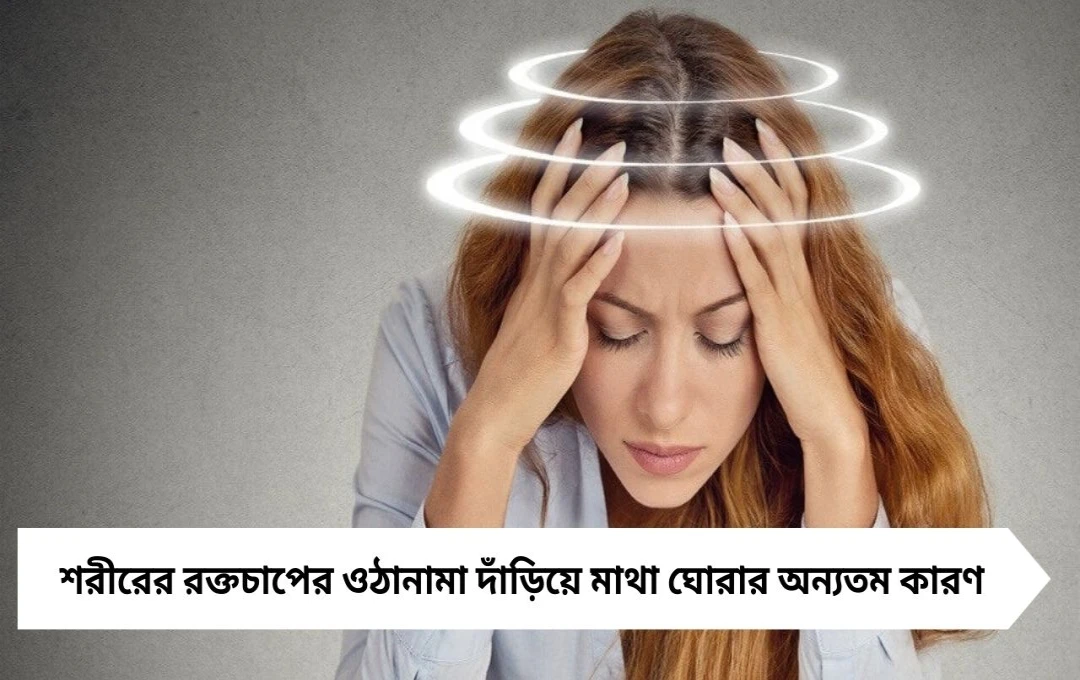 Dizziness Syndrome: দাঁড়িয়ে মাথা ঘোরে বা হঠাৎ বেহুঁশ বোধ করছেন সাবধান হওয়ার সময় এখনই!