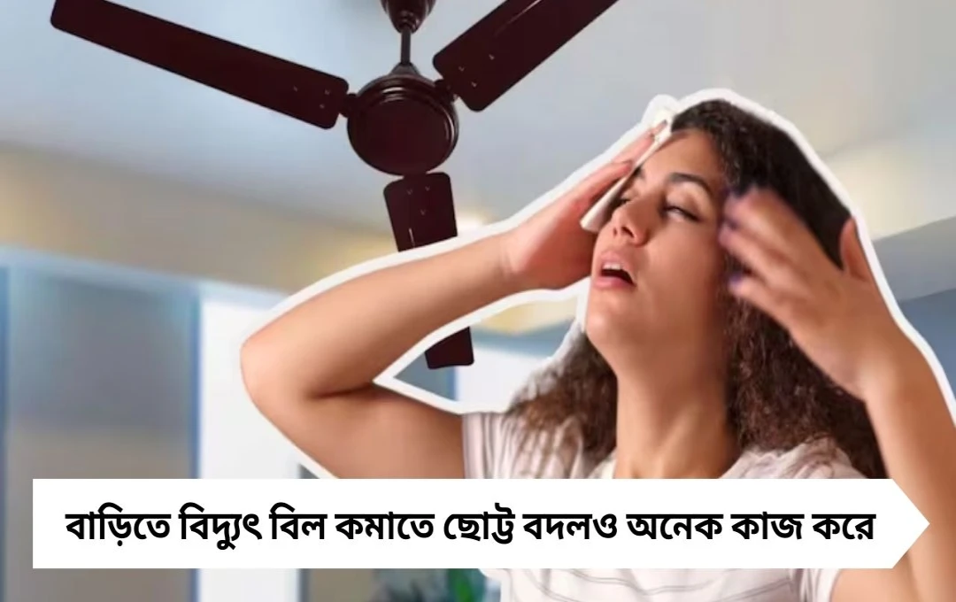 ছোট্ট’ বদলেই হাফ হবে ইলেকট্রিক বিল, জানুন সহজ উপায়