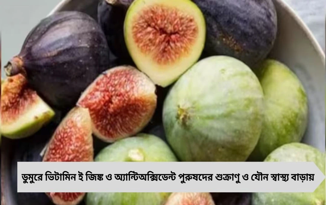 শুকনো ডুমুর খেলে পুরুষদের শুক্রাণু বাড়বে, বুড়ো বয়সেও হবে রাজা