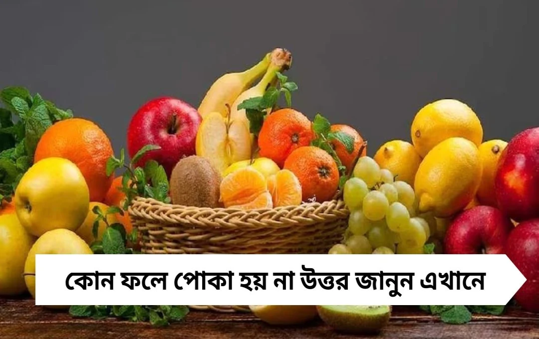 General Knowledge: কোন ফলে পোকা হয় না? উত্তর জানলে অবাক হবেন!