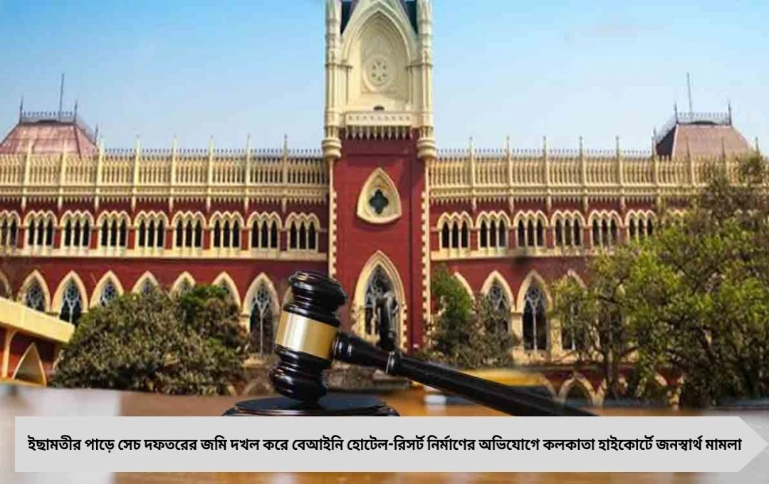 Calcutta High Court: টাকিতে ইছামতীর পাড়ে বেআইনি হোটেল নির্মাণে মামলা