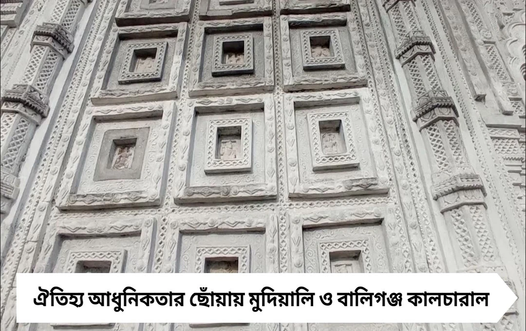 টেরাকোটার প্যান্ডেলে ‘আত্মশুদ্ধি’, বালিগঞ্জে ‘প্রথা’—ঐতিহ্য-আধুনিকতার ছোঁয়ায় পুজোর মণ্ডপ