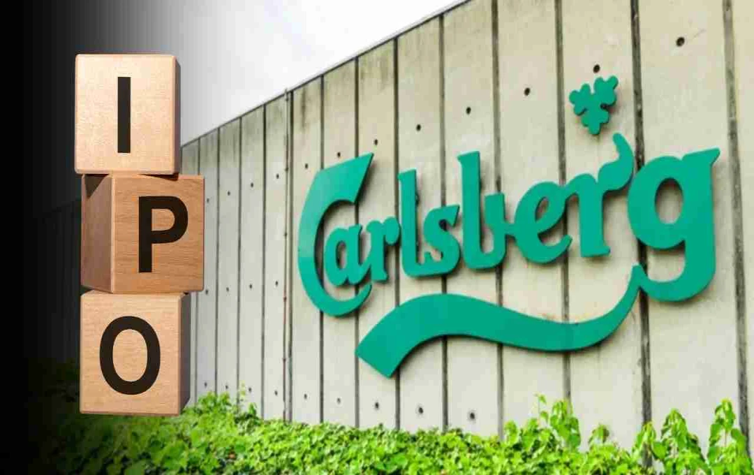 Tuborg की पैरेंट कंपनी Carlsberg India IPO की तैयारी में, कब होगा ऐलान? जानें डिटेल्स