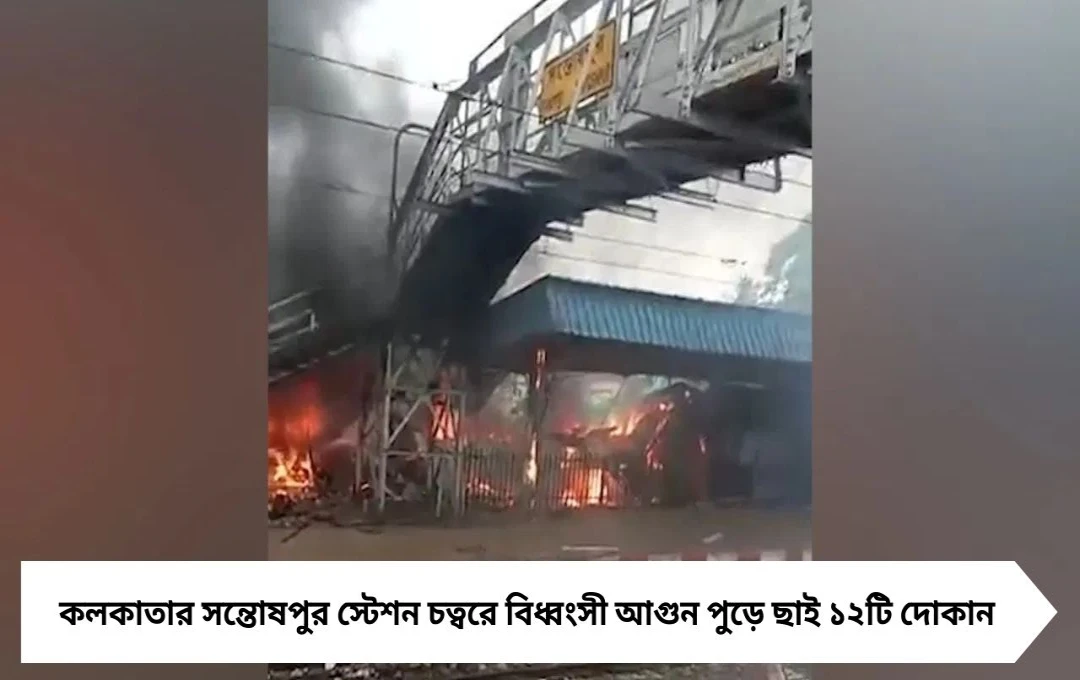 সন্তোষপুরে বিধ্বংসী আগুন: পুড়ে ছাই ১২টি দোকান, ব্যাহত ট্রেন চলাচল