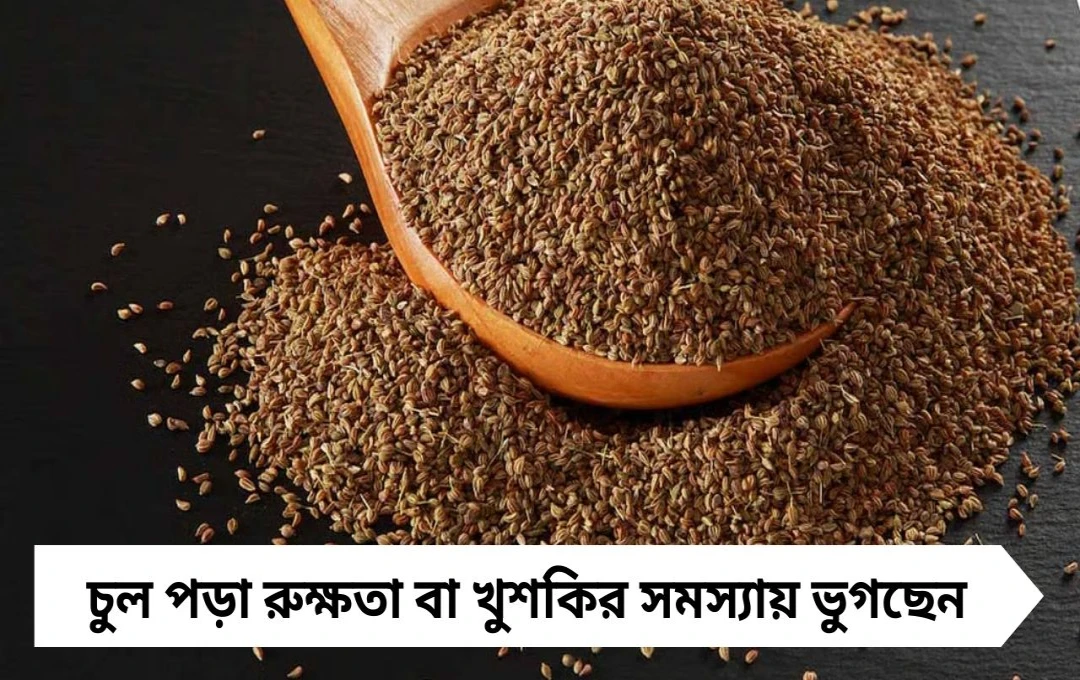 পাতলা চুল ঘন করার ক্ষমতা আছে জোয়ানের! জানুন ব্যবহারের সহজ টোটকা