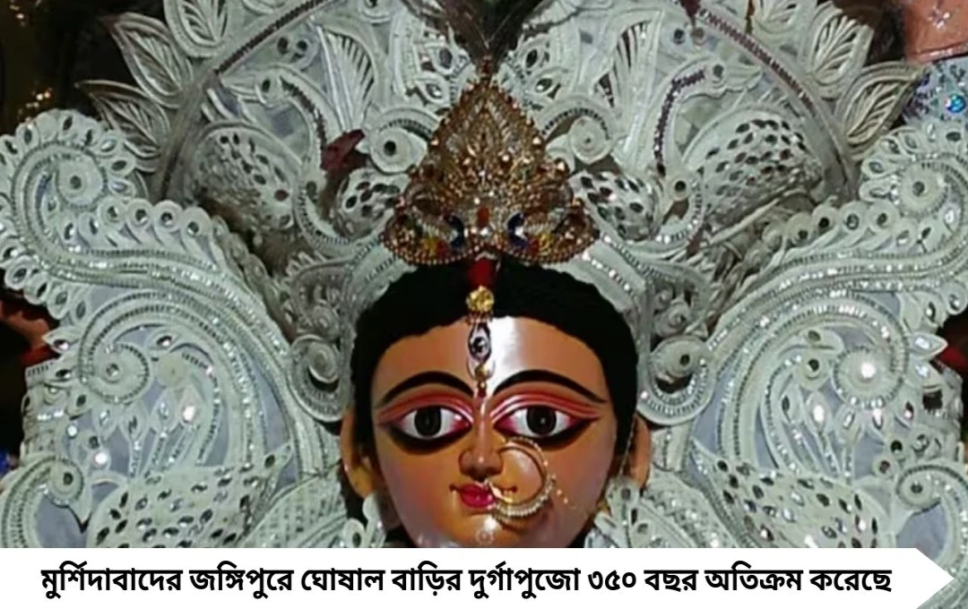 Durga Puja 2025: জঙ্গিপুরের ৩৫০ বছরের ঘোষাল বাড়ির দুর্গাপুজো, দশমীতে ইলিশ ভোগের বিশেষ প্রথা