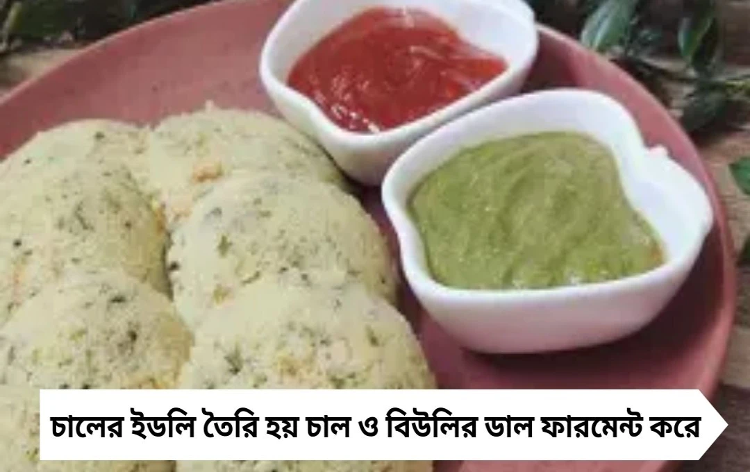 Healthy Idli: সুজি না চাল—কোন ইডলি শরীরের জন্য বেশি উপকারী?