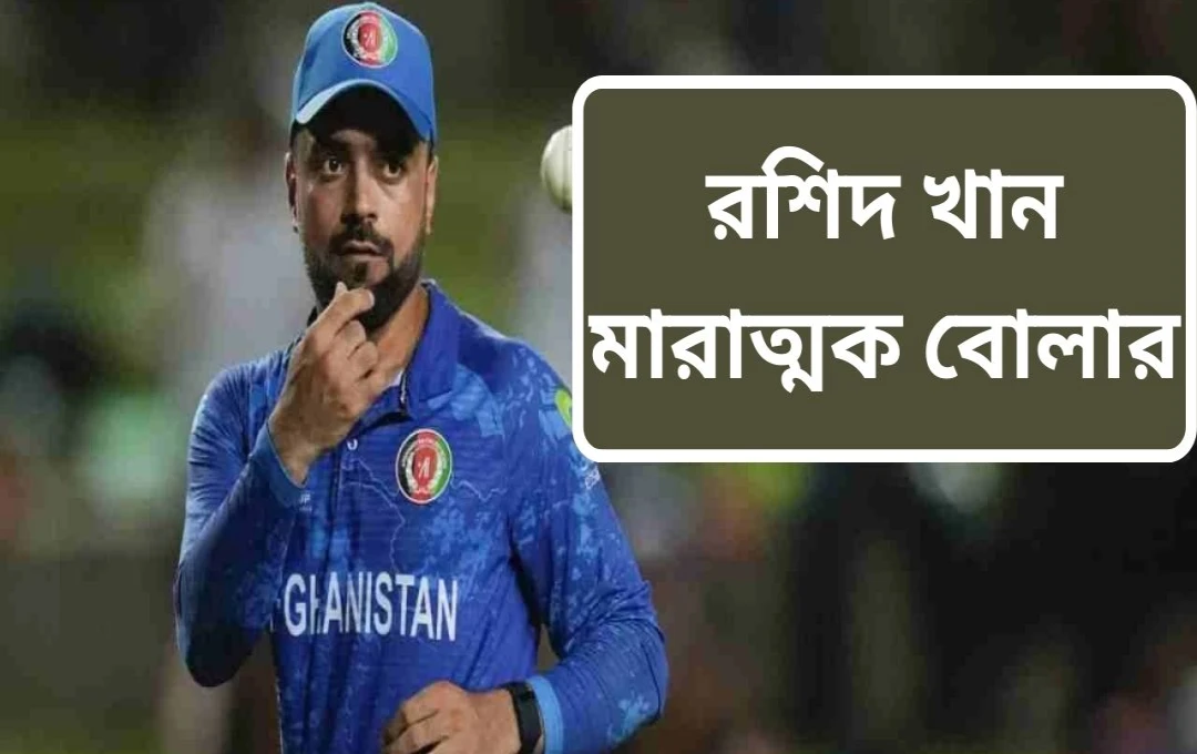 এশিয়া কাপে রশিদ খানের নতুন ইতিহাস: সর্বোচ্চ উইকেটের মালিক