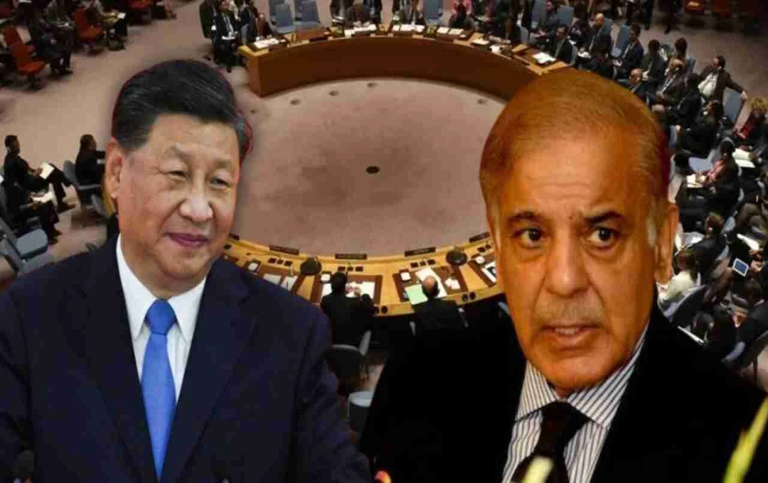 UNSC में पाकिस्तान और चीन का संयुक्त समर्थन, बलूचिस्तान प्रस्ताव पर खड़ा हुआ रुख