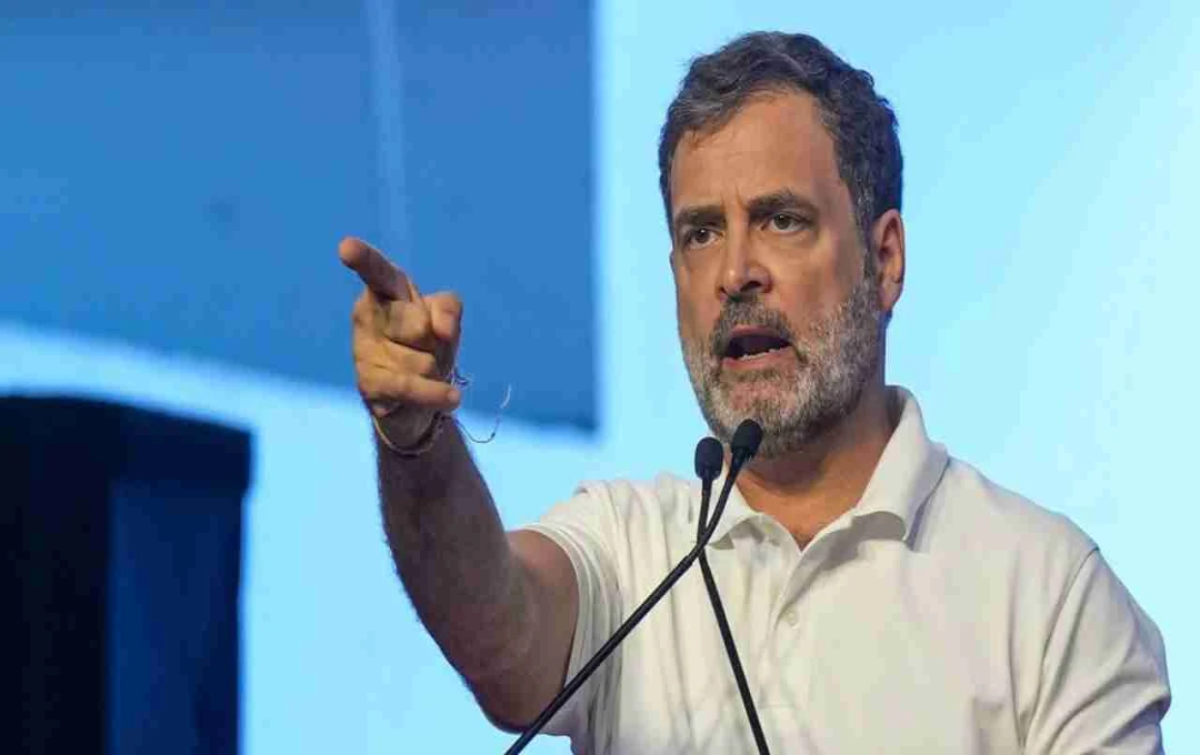 कर्नाटक में वोटर लिस्ट से नाम डिलीट, राहुल गांधी ने प्रेस कॉन्फ्रेंस में कहा- 'लोकतंत्र खतरे में, CEC जवाब दे'
