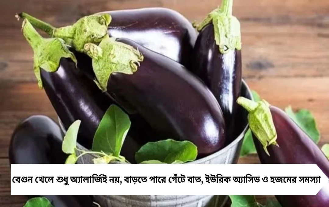 Side Effects of Begun: শুধু অ‍্যালার্জি নয়, এই ৩ রোগ থাকলেও মুখে তুলবেন না বেগুন! বিপদের আর শেষ থাকবে না