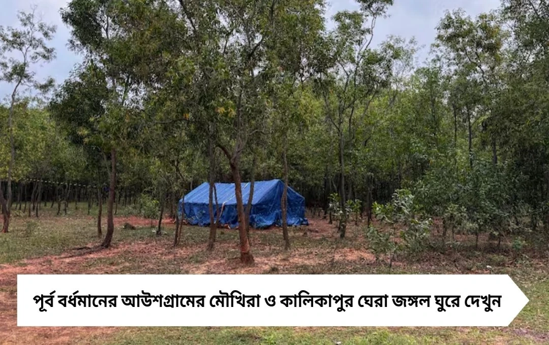 Bengal Tourism: কলকাতা থেকে ঢিল ছোঁড়া দূরত্বে দারুণ ট্যুরিস্ট স্পট, কম টাকায় ব্যাপক মস্তি