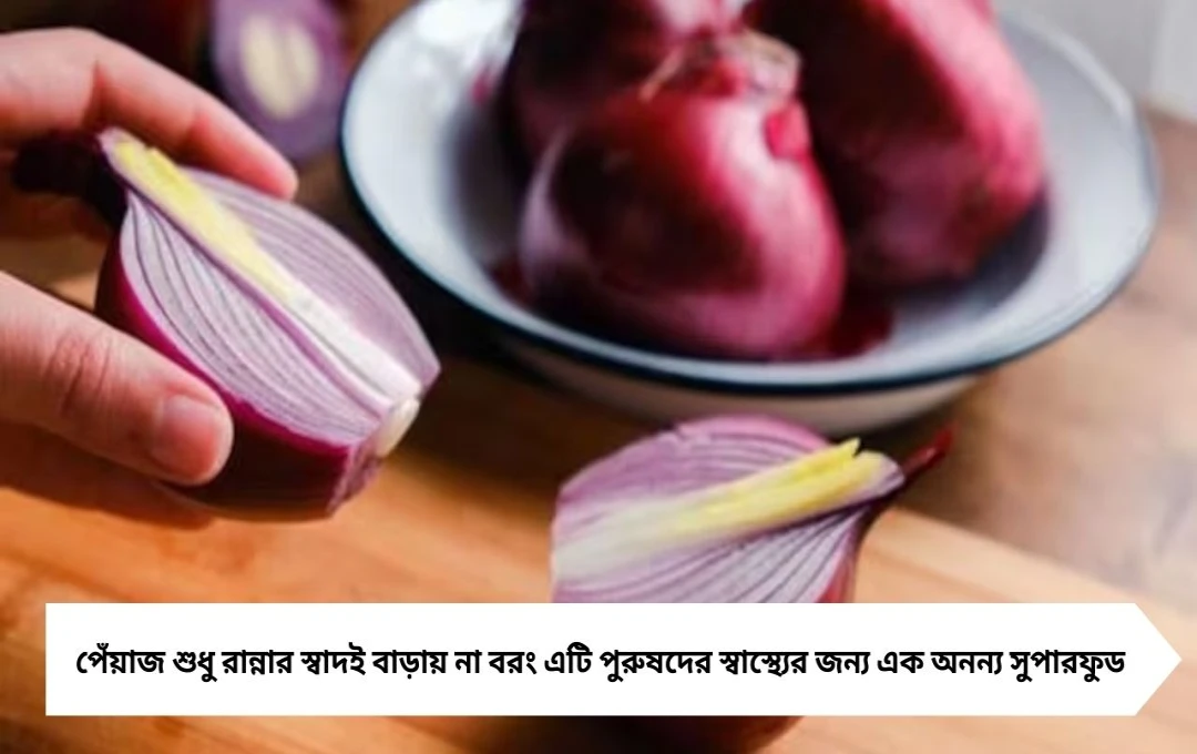 Male Energy: পেঁয়াজে টগবগে শক্তি, বাড়ে পুরুষদের যৌন ক্ষমতা! বিশেষজ্ঞরা বলছেন সুপারফুড