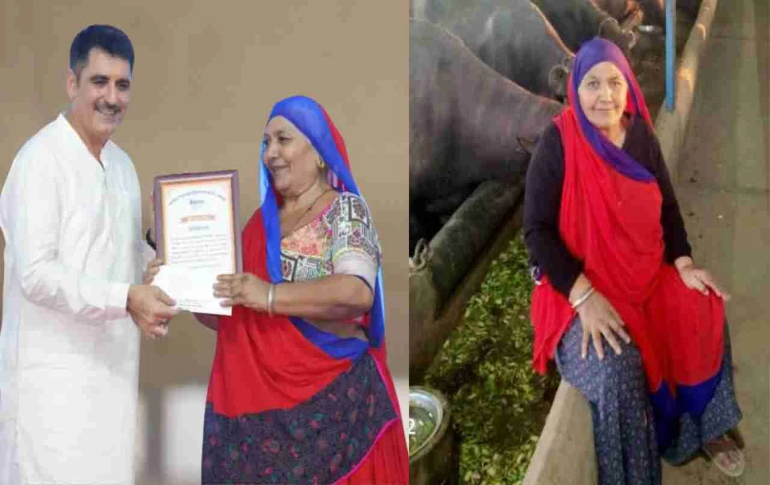 डेयरी क्षेत्र में मानीबेन का कमाल, 1.94 करोड़ रुपये का दूध बेचकर जिले में दूसरा स्थान