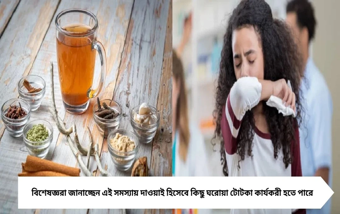 সর্দি-কাশিতে ঘরোয়া টোটকা: জষ্ঠিমধু, আদা, তুলসি ও মেন্থলেই মিলবে আরাম